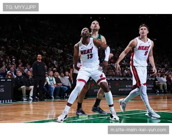 武切维奇加盟凯尔特人 绿军内线进攻手段更加丰富